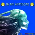 /album/galeria-de-fotos-pagina-inicial/beat-spring-dj-in-my-antidote-jpg2/